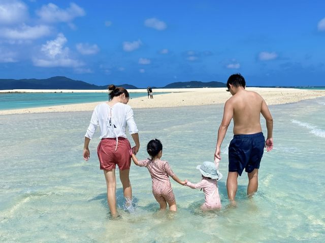 �Ί_����������V�[�T�[