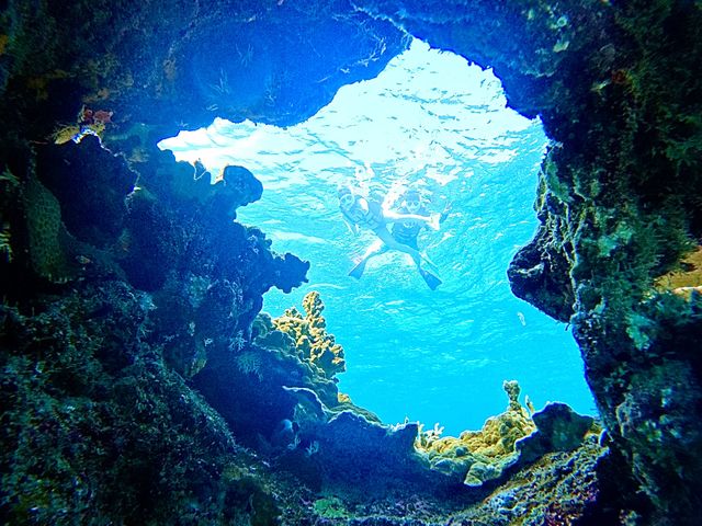 �Ί_����������V�[�T�[