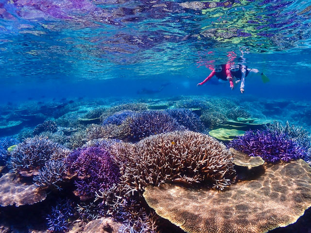 �O���[�r�[�u���[