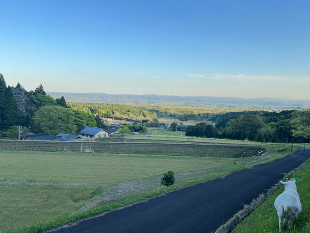 ����đ̌����ł���n�C�c���[�H�Ɓi���j�̎������̏�̓c��ڂ��猩����i�F�ł��B�����͗����������n�ł��B_�ÎR���쎵��đ̌� AtelierOwl