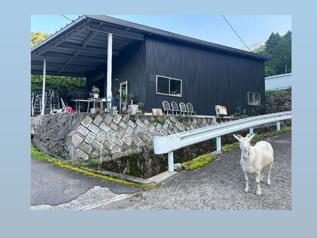 �������R���ÎR�s�ɂ��錚�݉�ЁA�n�C�c���[�H�Ɓi���j�̑q�ɓ��������Ŏ���̌���񋟂����Ă��������Ă���܂��B���l���̂��q�l�͘a���ł����Ή��\�ł��I_�ÎR���쎵��đ̌� AtelierOwl