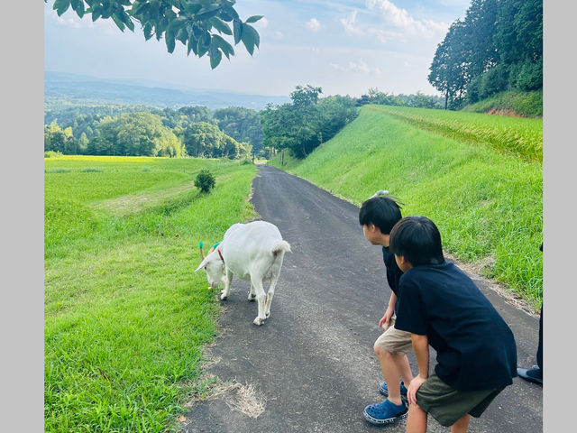 ����]�ł���΁A���M��j���g���ƂȂǂƂ��G�ꍇ���Ă��������܂��I_�ÎR���쎵��đ̌� AtelierOwl