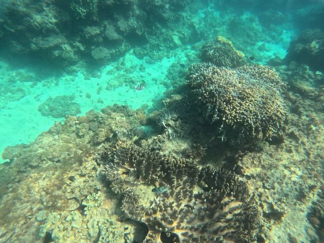 ���񂲁B_�A�N�A�}�����A���e�B�[�i