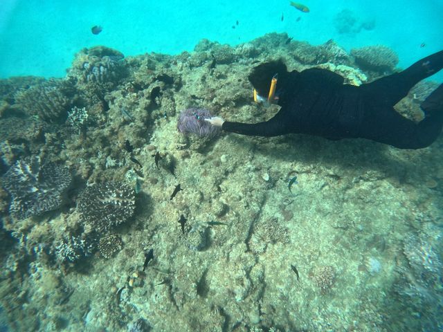 �V���m�[�P���B_�A�N�A�}�����A���e�B�[�i