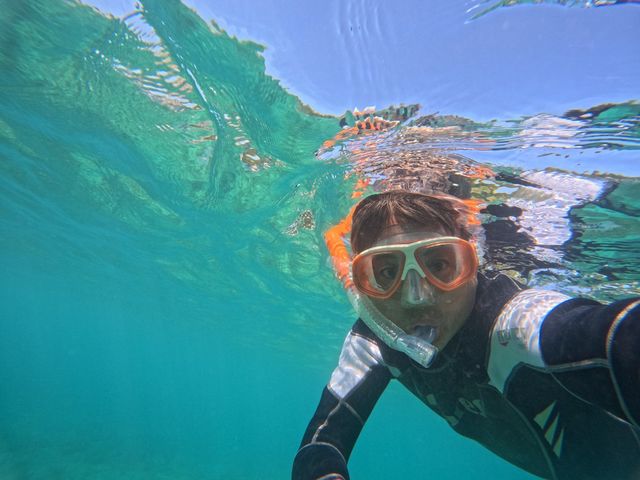 �S�����`���b�v_�A�N�A�}�����A���e�B�[�i