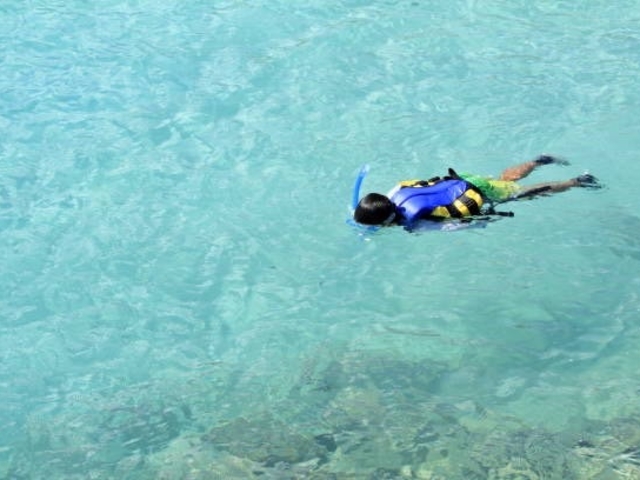 �q���������������ƁB�i�U�΂���j_�A�N�A�}�����A���e�B�[�i