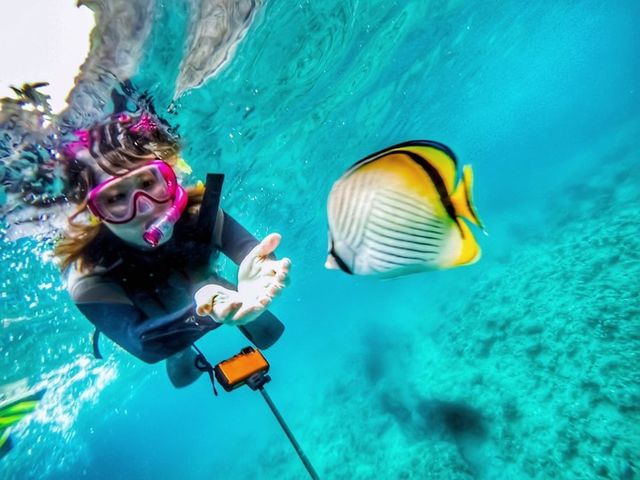 �`���E�`���E�E�I�B_�A�N�A�}�����A���e�B�[�i