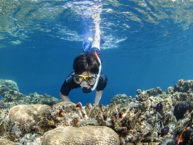 ����ō��B_�A�N�A�}�����A���e�B�[�i