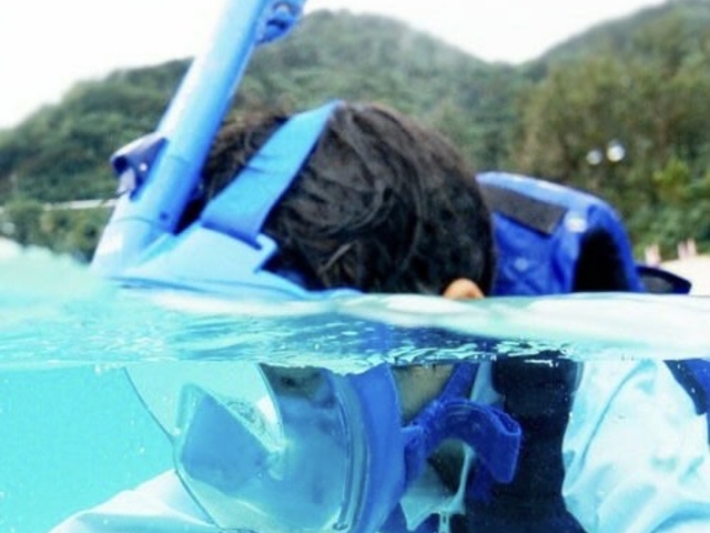 �q���V���m�[�P��_�A�N�A�}�����A���e�B�[�i