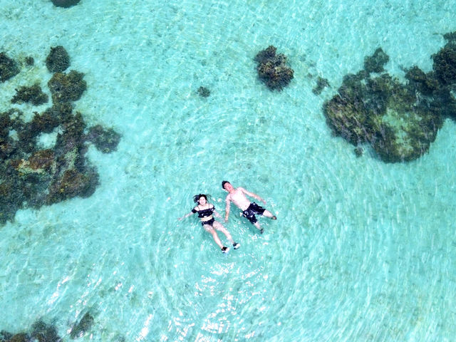 Ί_όNo. 1X|bgy약pzh[BeI󂩂h[ŎB약p̌iF͈łIf̃V[̂悤Ȏvo̓ʐ^B邱Ƃł܂I_South Blue