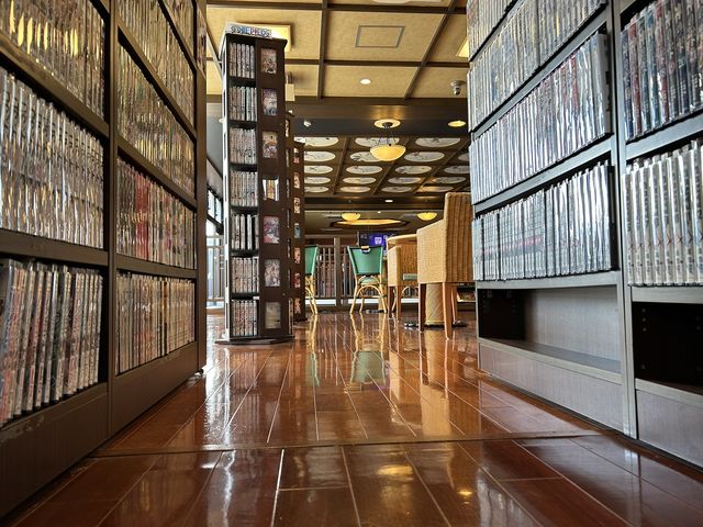 ���������� ���t