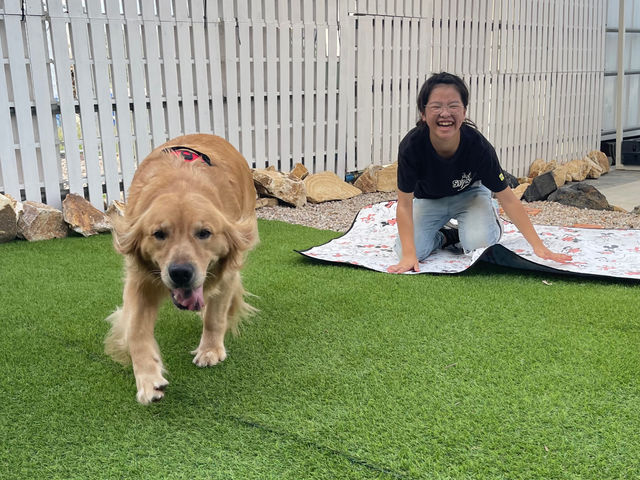 ��񂿂��Ƃ���ƏΊ�Ɂ�_���J�t�F �J�^�m�_�v���X