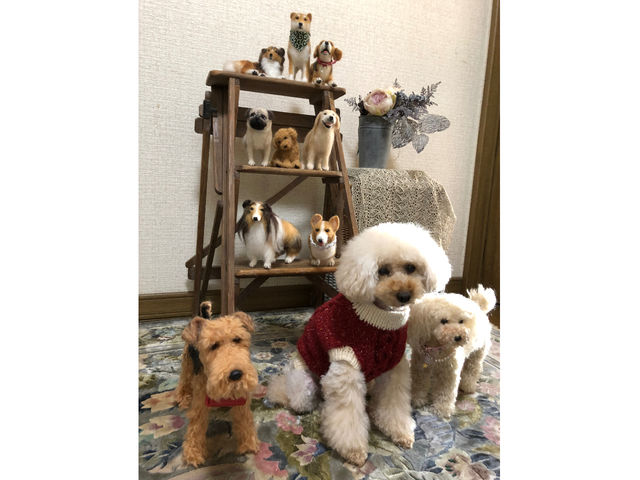 �L���g�p���b�g