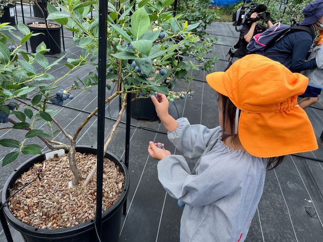 ���n�̎�����Ŏ���Ă��̂܂܃p�N��_�u���[�x���[�t�@�[���݂���