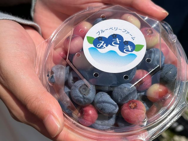 �������A��p�b�N�ōD���ȕi������n_�u���[�x���[�t�@�[���݂���