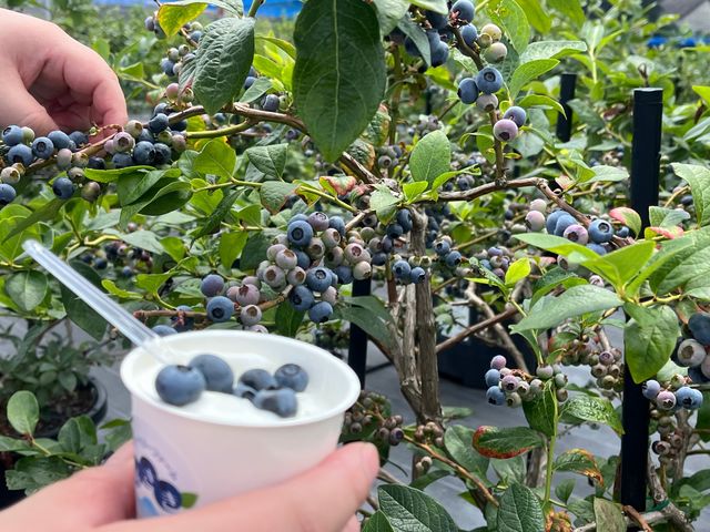 ���l���Ȃ������~���N�W�F���[�g_�u���[�x���[�t�@�[���݂���