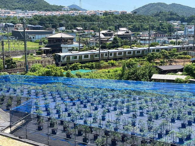 ��C�d�S�̒W�։w����k��15�`20��_�u���[�x���[�t�@�[���݂���