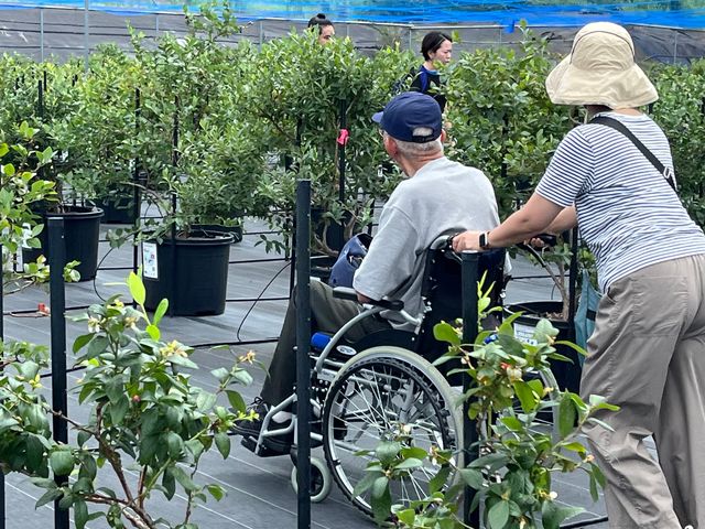 �Ԃ����Ŏ��n�ł��܂�_�u���[�x���[�t�@�[���݂���