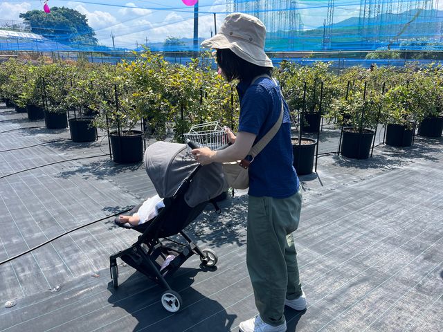 �E�ݎ��G���A�͑S�ʃV�[�g����Ȃ̂ő���������ɂ����ł�_�u���[�x���[�t�@�[���݂���