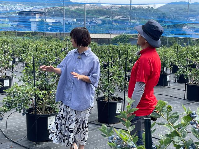 �u���[�x���[�̂��Ƃ̓X�^�b�t�ɕ����Ă�������_�u���[�x���[�t�@�[���݂���