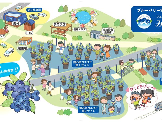 ��1�T�C�g�����3�T�C�g�܂Ŋ��n���ɂ��킹�ē��ꂢ�������܂�_�u���[�x���[�t�@�[���݂���