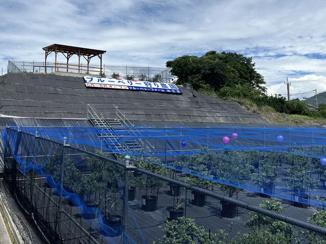 ��C�d�Ԃ̎ԑ����猩����傫�ȊŔ��ڈ�_�u���[�x���[�t�@�[���݂���