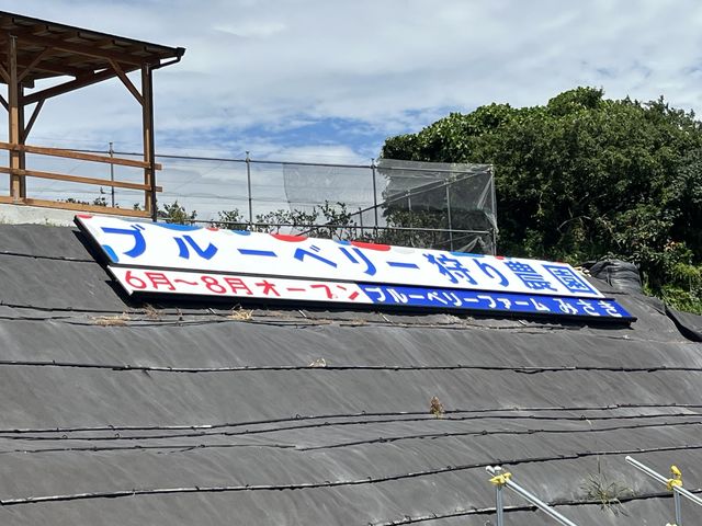 ��C�d�Ԃ̎ԑ����猩����傫�ȊŔ��ڈ�_�u���[�x���[�t�@�[���݂���