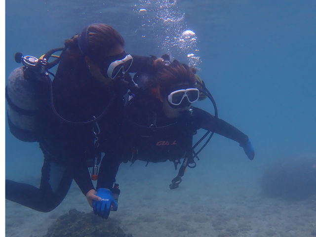 �j���Ȃ��Ă��K�C�h������Ɏx���ĉj���̂ň��S�I_Seas the day