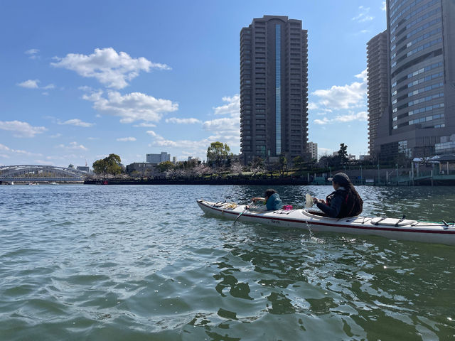 ���������q����ł��Q���\_Nomad Kayaks