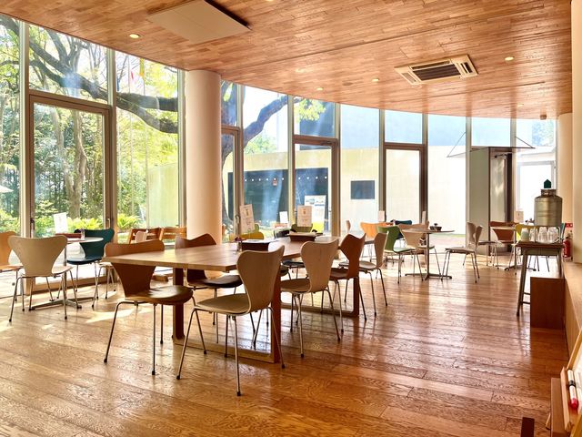 �J�t�F���V���b�v�uTREEHOUSE�v_�x���i�[���E�r���t�F���p��