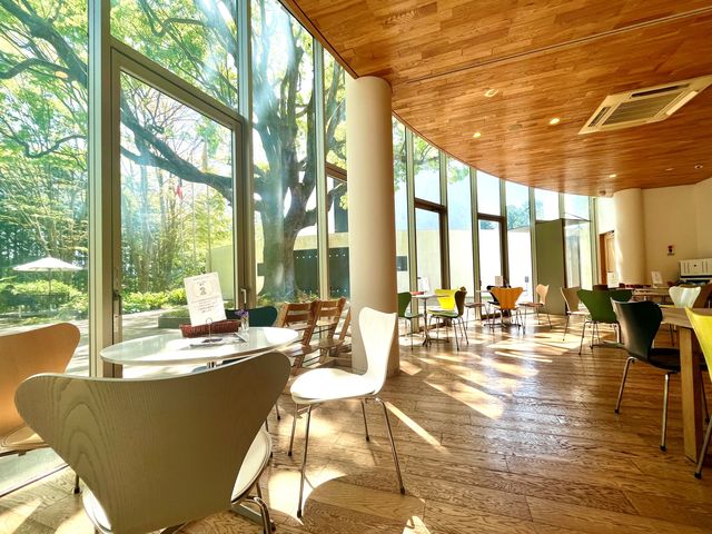 �J�t�F���V���b�v�uTREEHOUSE�v_�x���i�[���E�r���t�F���p��