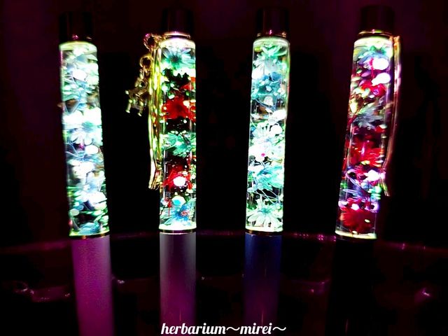 ����n�[�o���E���{�[���y��_herbarium�`mirei�`