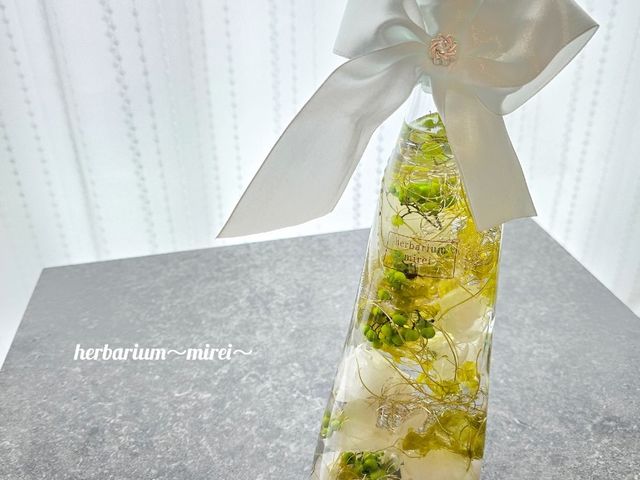 �V���f�����V���[�n�[�o���E��_herbarium�`mirei�`