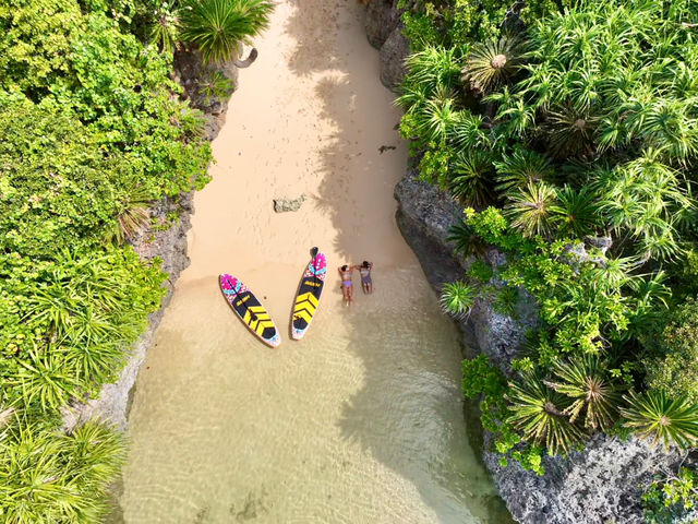 �ō��I_NATURE SHOP PAO