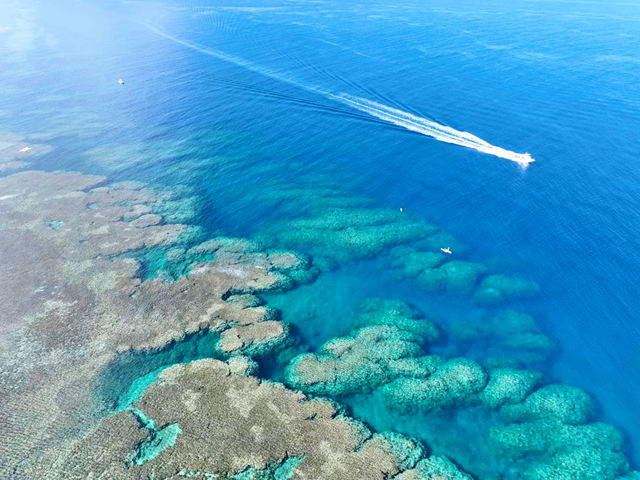 �R���f�B�V�����������͂���ȉ��܂ōs���܂��ISUP�����邩�ȁH_NATURE SHOP PAO