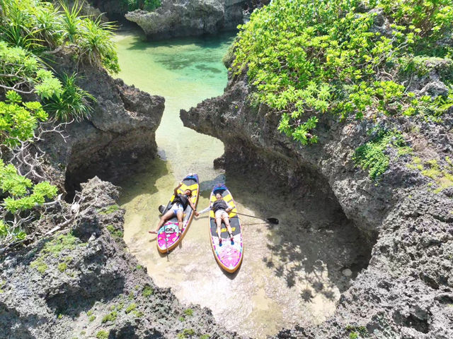 �������n�`�ł��ˁI_NATURE SHOP PAO