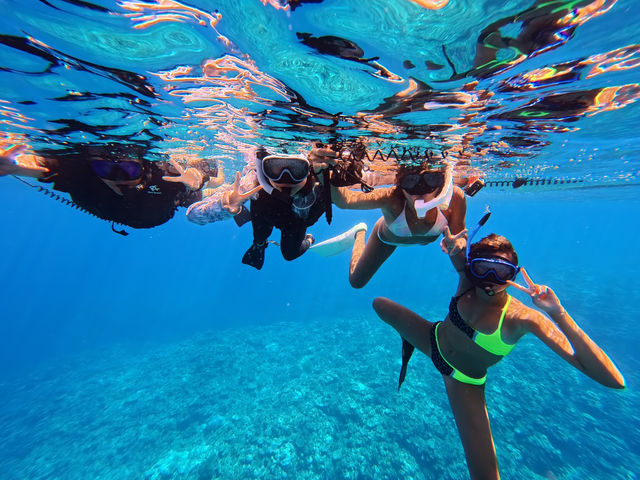 �C�̒����Y�킾��[�I�V���m�[�P���v����������܂��I_NATURE SHOP PAO