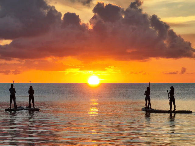 �����ȁ[_NATURE SHOP PAO