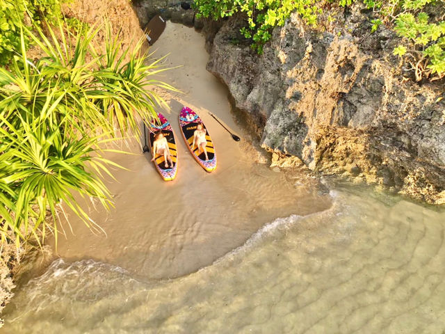 �T���Z�b�g�h���[���B�e�I_NATURE SHOP PAO