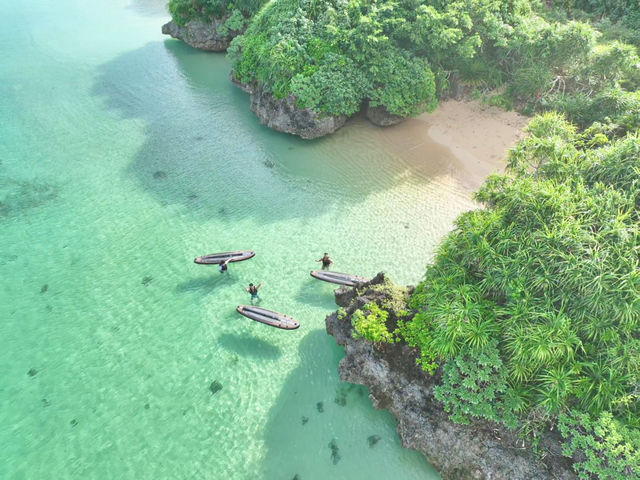 07:30�̕ւ��ȁI���܂�g���Ȃ��������߂ł��I_NATURE SHOP PAO