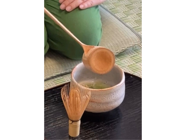 Japan Sakura Journey