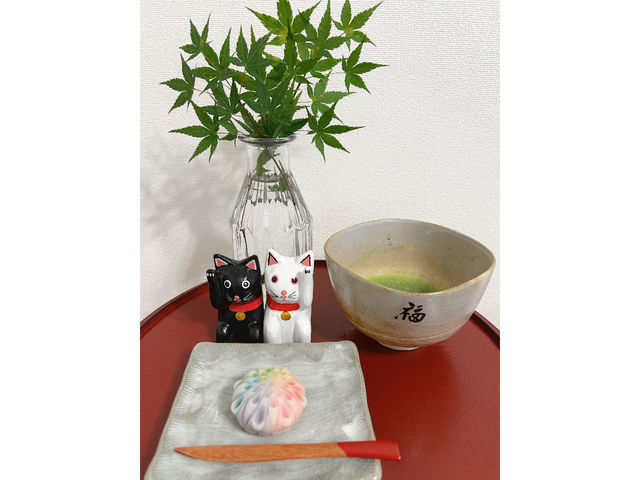 Japan Sakura Journey