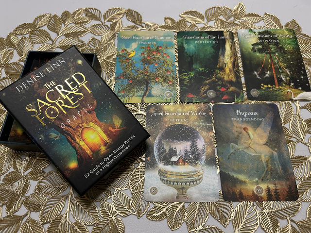 ̓rŁAƂS𐮂ЂƂƂ
INJ[hĝȂhɗDt͂Ă܂B
_Japan Sakura Journey