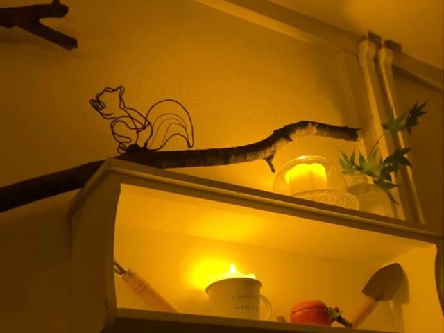 Japan Sakura Journey