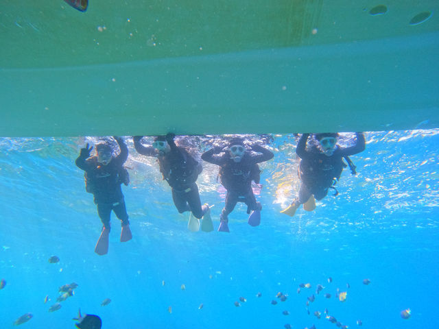 {[CYO[vɂ߁III__CrOVbv Akari