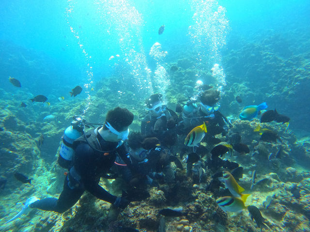 Qɉať͋Ɉ|܂I__CrOVbv Akari