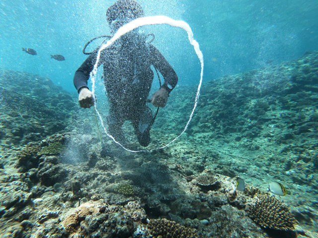 ŃouOIւɒł܂I__CrOVbv Akari