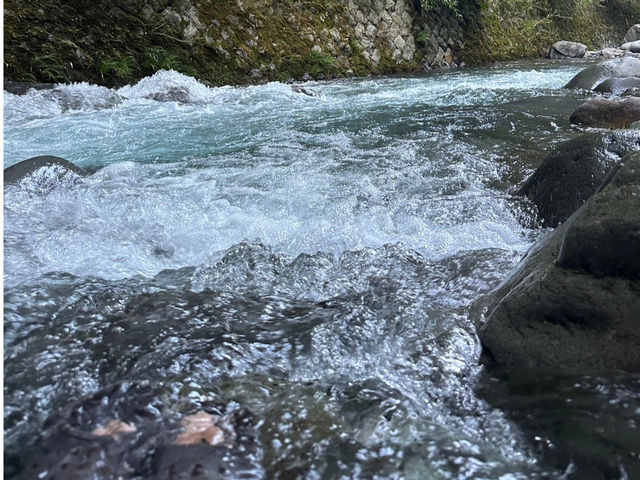 ���������C_�i�i�_���T�E�i