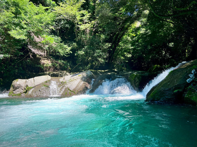 �͒Î���_�i�i�_���T�E�i