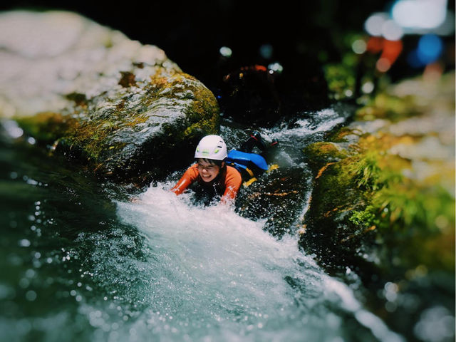 �I�v�V�����F�L���j�I�j���O_�i�i�_���T�E�i